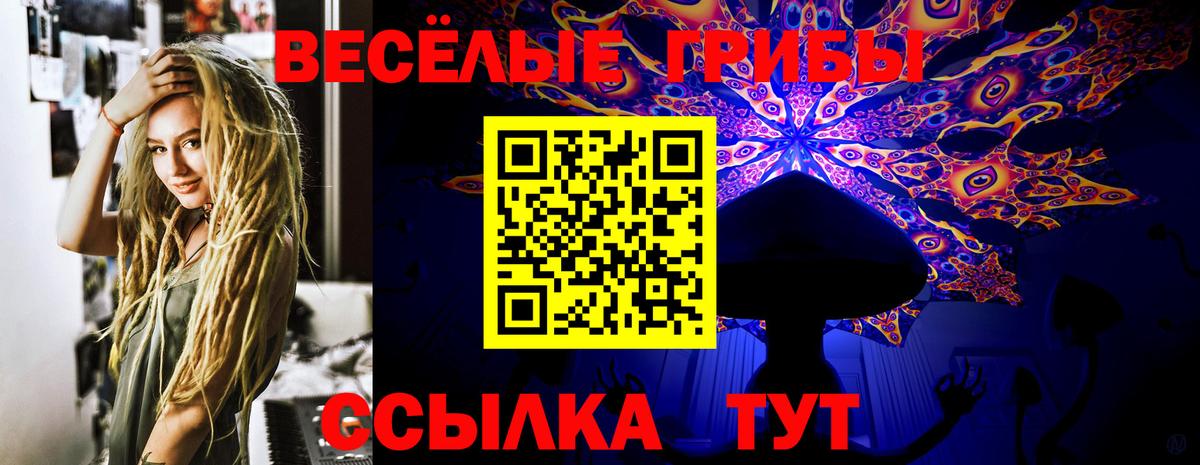 Псилоцибиновые грибы GOLDEN TEACHER Белебей