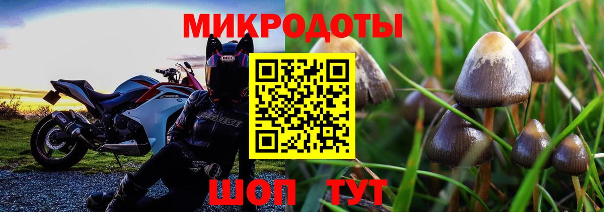 Белебей  Галлюциногенные грибы GOLDEN TEACHER  Вход с VPN 